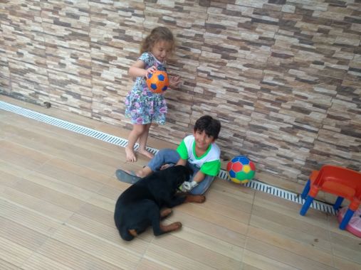Marina e Bernardo... duas crianças maravilhosas e ainda tem a companhia da nina haha