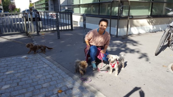 Socialisation chiot de 4 mois