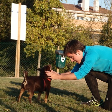 Alternativa A Las Residencias Caninas