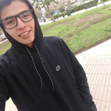 Paseador De Perro