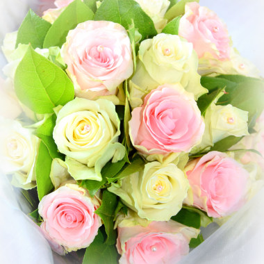 Lili Photographie