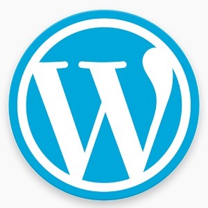Seoindex