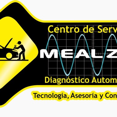 Centro De Servicio Mealza