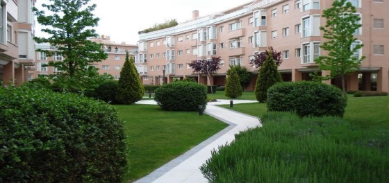 jardineria buenavista