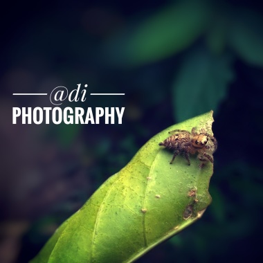 Aditya Das Photography