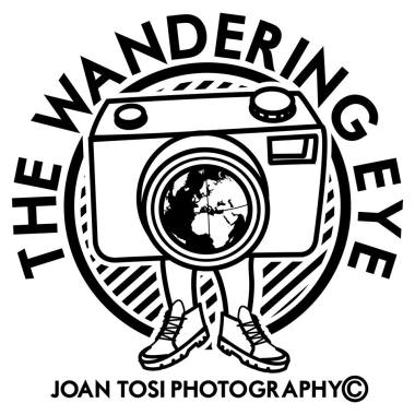 The Wandering Eye