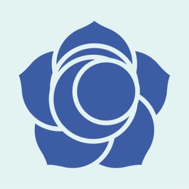 Camila Sales Organização De Sonhos