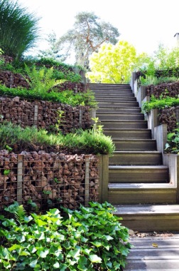 Escalier en bois
