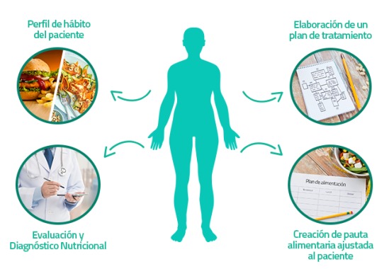 Una alimentación saludable es fundamental para combatir el sobrepeso y Obesidad