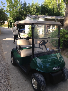 Réparation de golfette