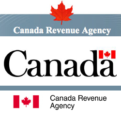 Authorized Representatives for Clients to Engage With CRA