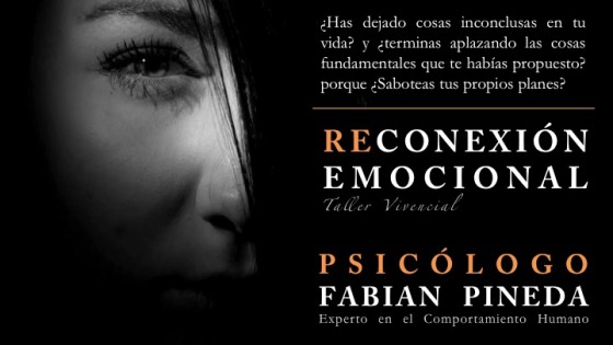 Info: 313 4336336