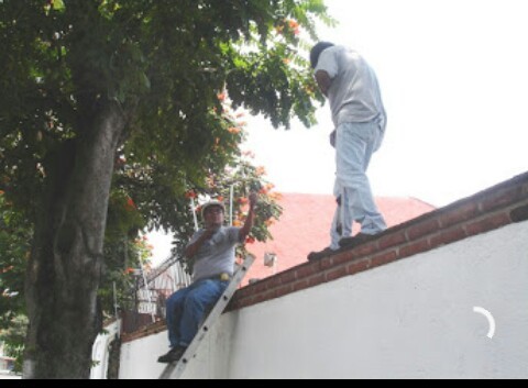 CERCAS ELECTRICAS RESIDENCIALES