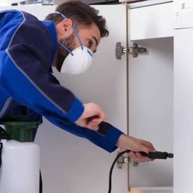 Universal Pest Control Services