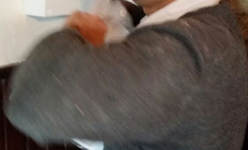Touil Abdouaheb
