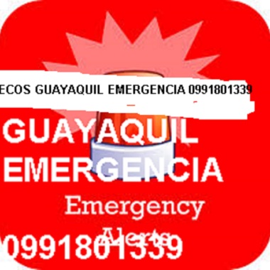 Ecografias Guayaquil