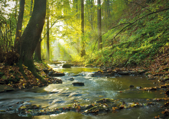 Landschaft 