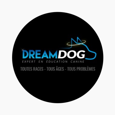 Dream Dog