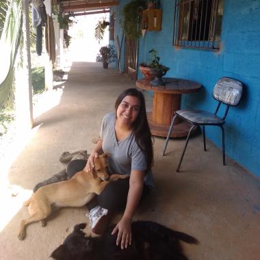 Cão Feliz
