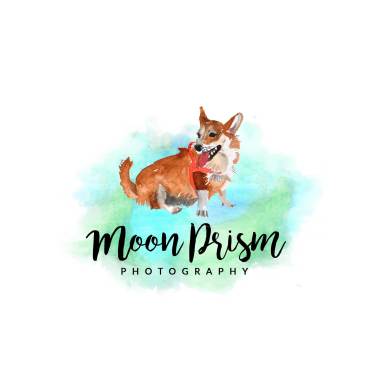 Moon Prism Photography
