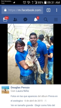 Con un bebe tigre...