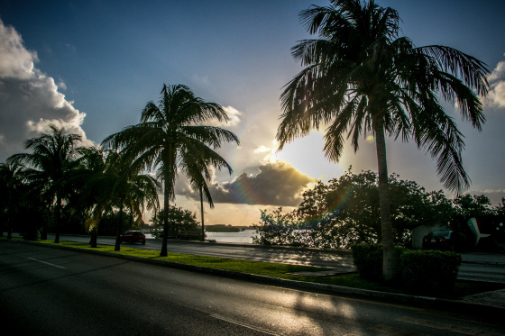 starofservice_11440beachlife.jpg