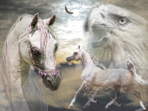Collage - photography and Artistry by Inscribe