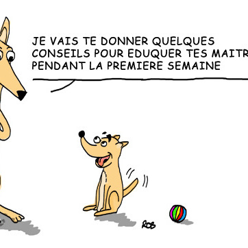 Au Doigt Et À L'Oeil