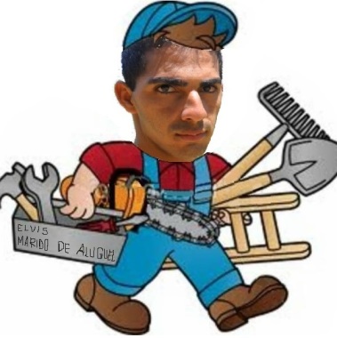 Elvis Marido De Aluguel
