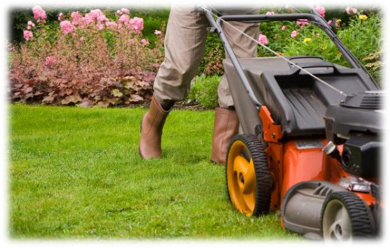 Jardinage