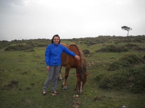 yo con un caballo salvaje