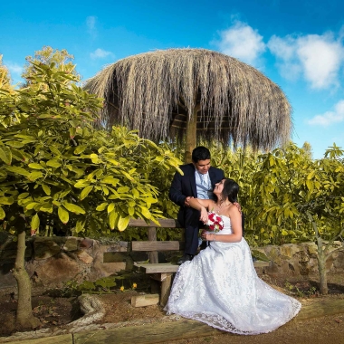 Luks Boda