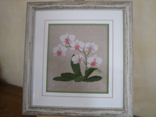 Broderie Fleurs Blanches