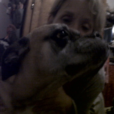Sandrine Aime Les Animaux