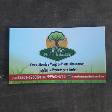 Bruno  Plantas & Jardins