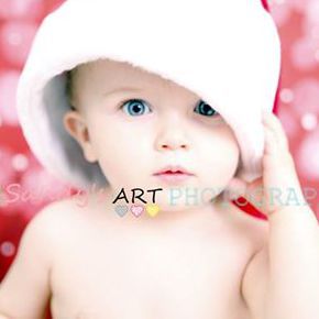 Sandy'S Art Photographies 