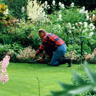 The Landscape Gardener’S In Fife