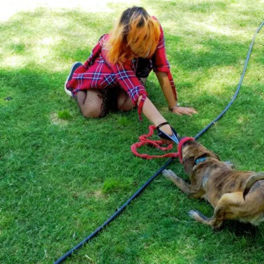 Cuidadora De Mascotas
