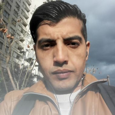 Pintores Carlos Limitada