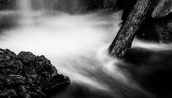 Roland Pistoresi Photographe