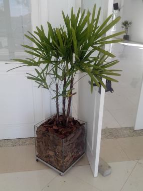 cachepos de vidro