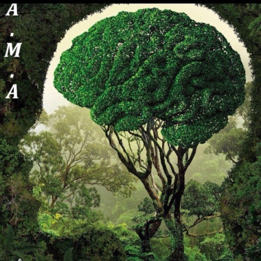 Ama Terapias Holísticas E Naturopatia