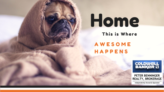 Pug at Home (Youtube Channel Art).png