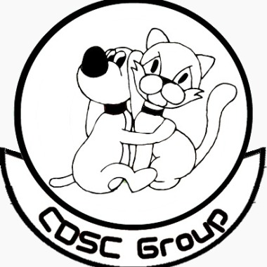 Cdsc Group