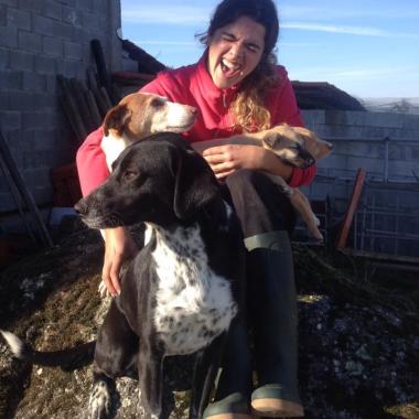 Anita E Os Cães