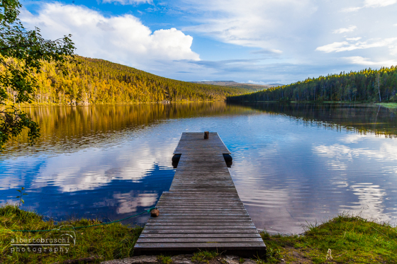 Finlandia, Viaggi Naturalistici