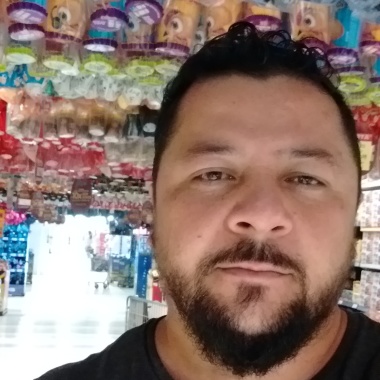 Pau Pra Toda Obra