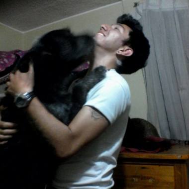 Paseador De Perros