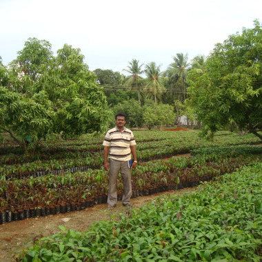 One (India )Greeners