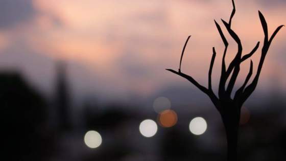 Fotografía creativa